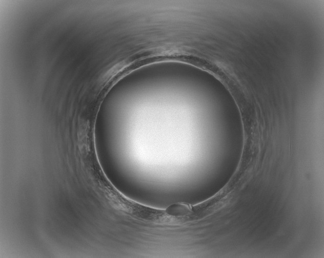 X0000080701265200612151305