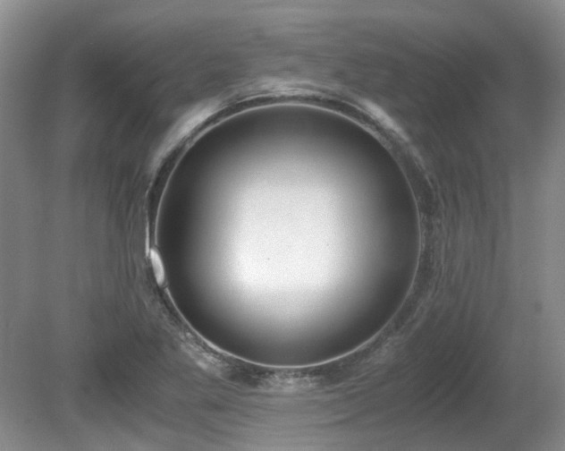 X0000080701269200612151305