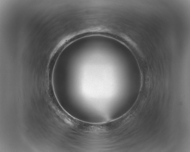 X0000080701270200612151305