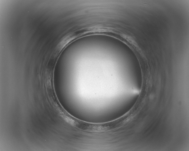 X0000080701273200612151305