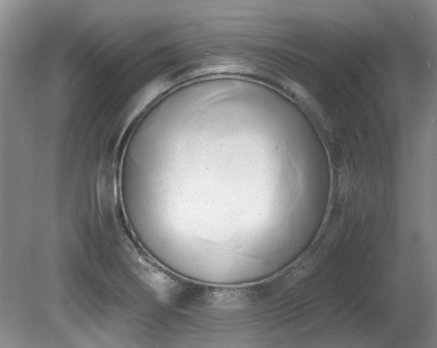 X0000080701274200612151305