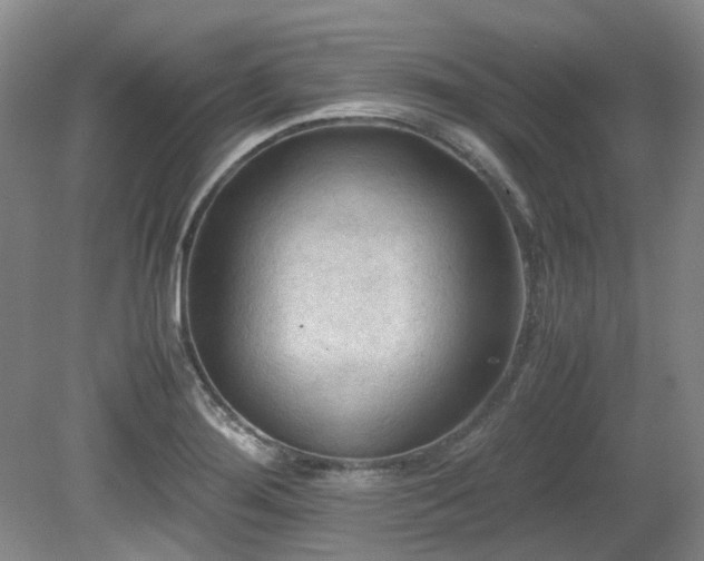X0000080701276200612151305