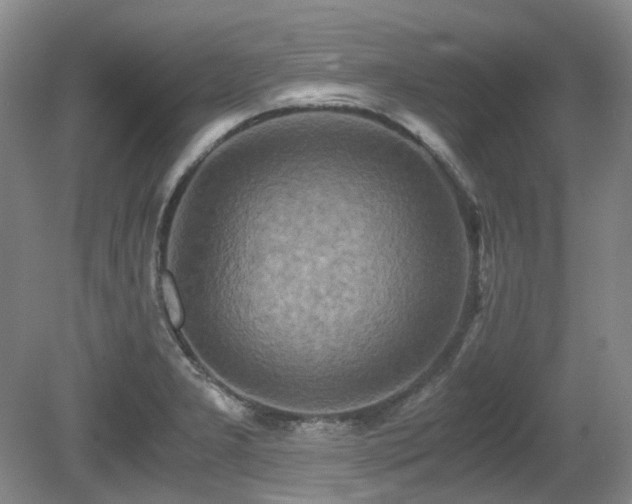 X0000080701277200612151305