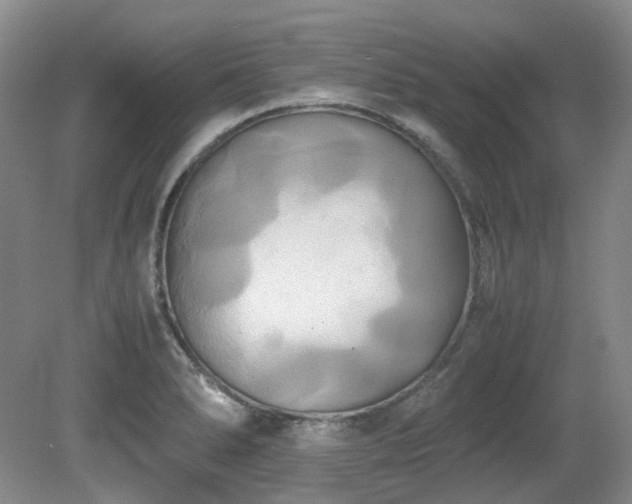 X0000080701278200612151305