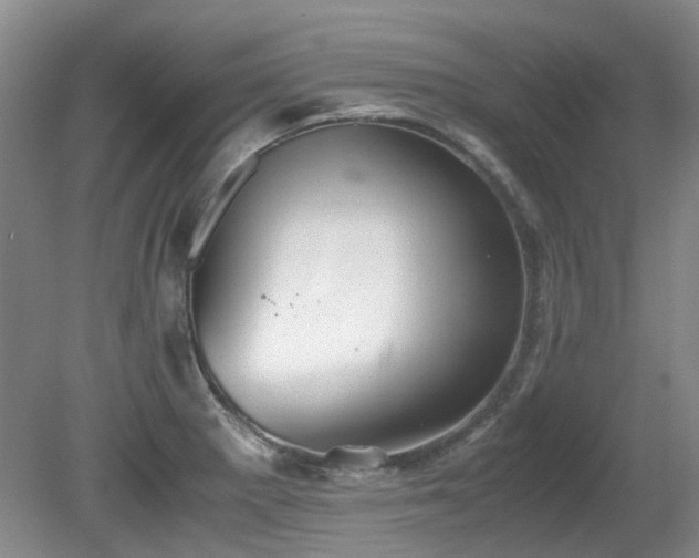 X0000080701281200612151305