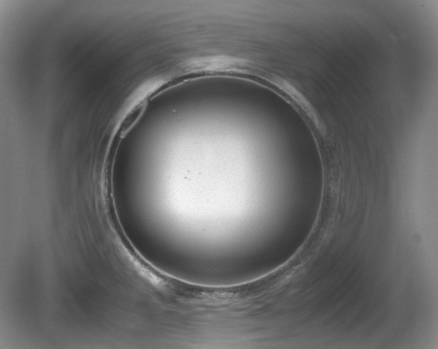 X0000080701285200612151305