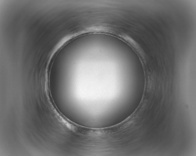 X0000080701286200612151305