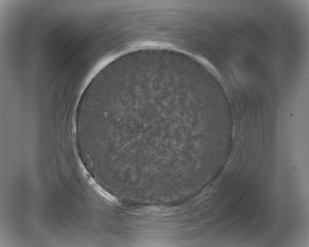 X0000080701287200612151305
