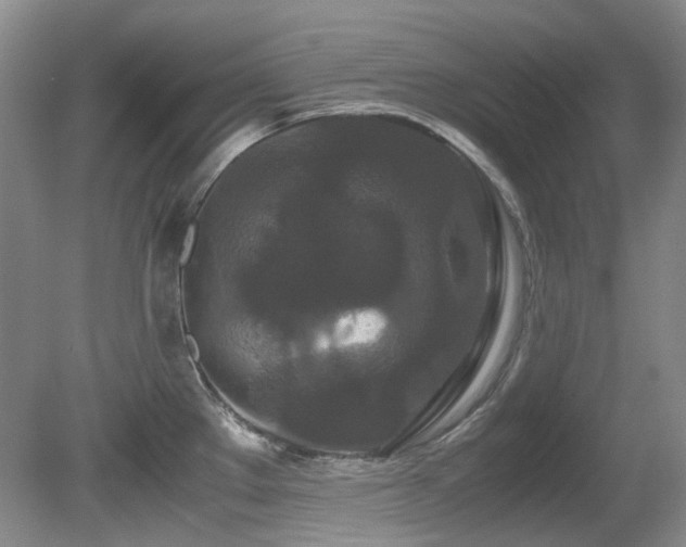 X0000080701289200612151305