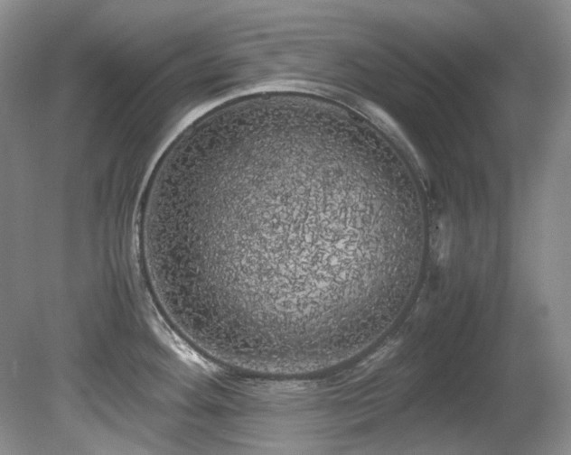 X0000080701292200612151305