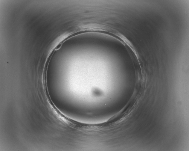 X0000080701293200612151305