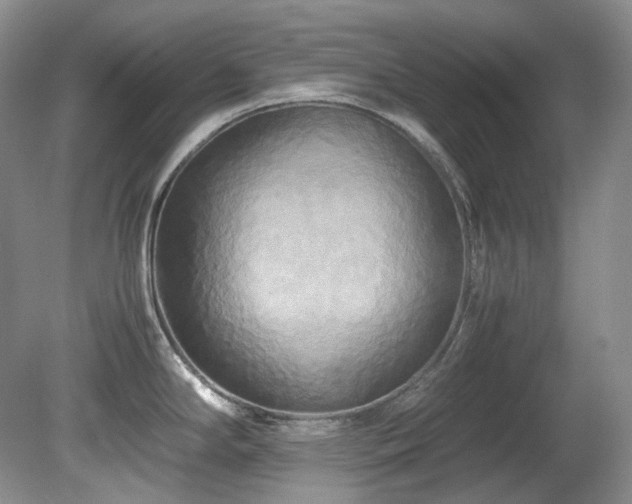 X0000080701294200612151305