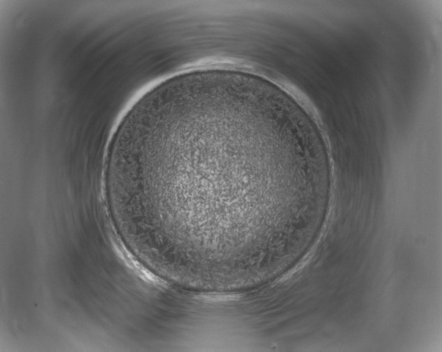 X0000080701296200612151305