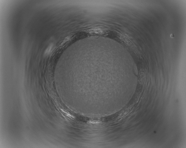 X0000080701297200612151304