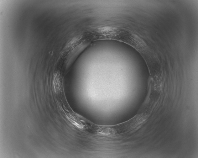 X0000080701298200612151304