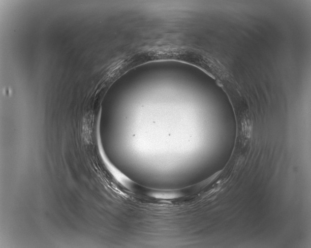 X0000080701300200612151304