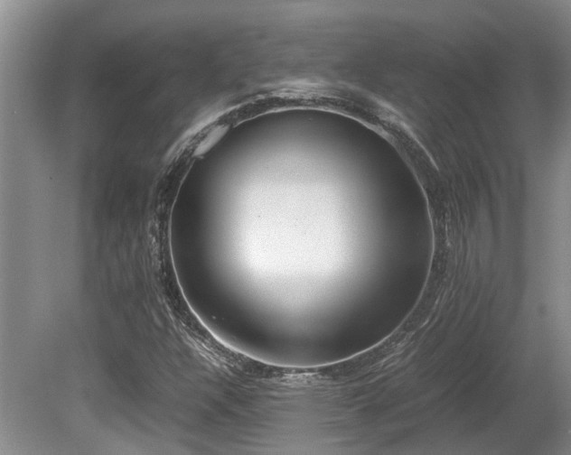 X0000080701304200612151304