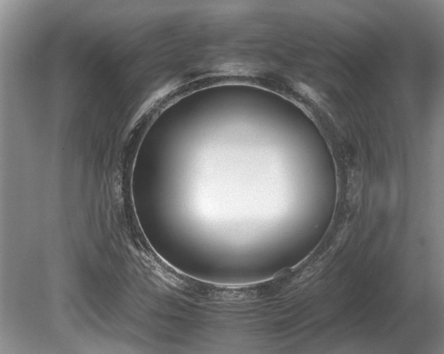 X0000080701307200612151304
