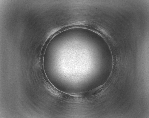 X0000080701308200612151304