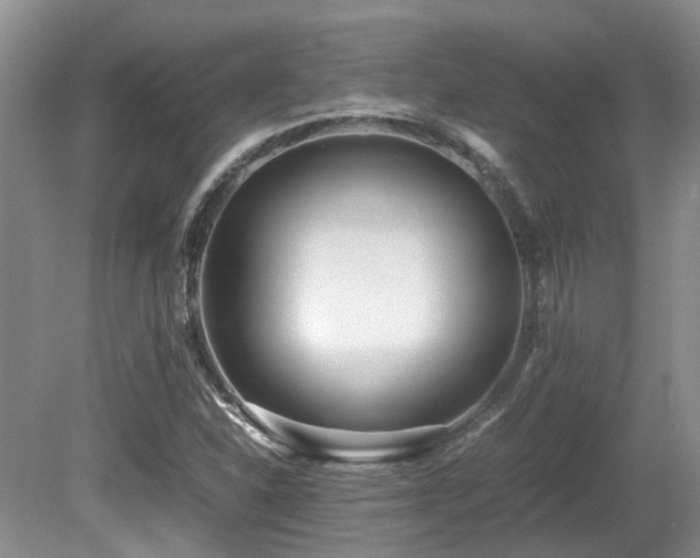 X0000080701310200612151304