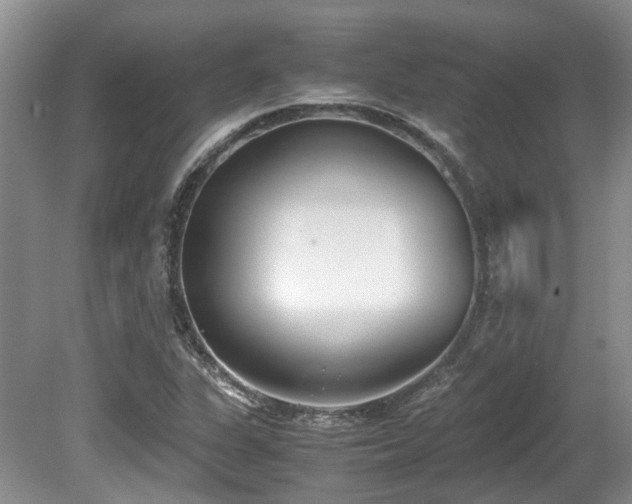 X0000080701311200612151304