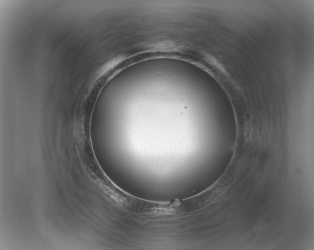 X0000080701315200612151304