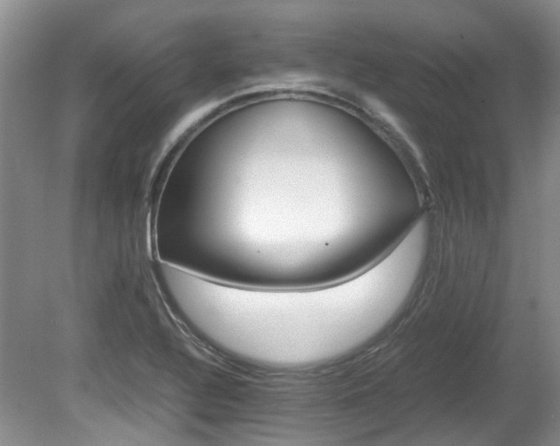 X0000080701320200612151304