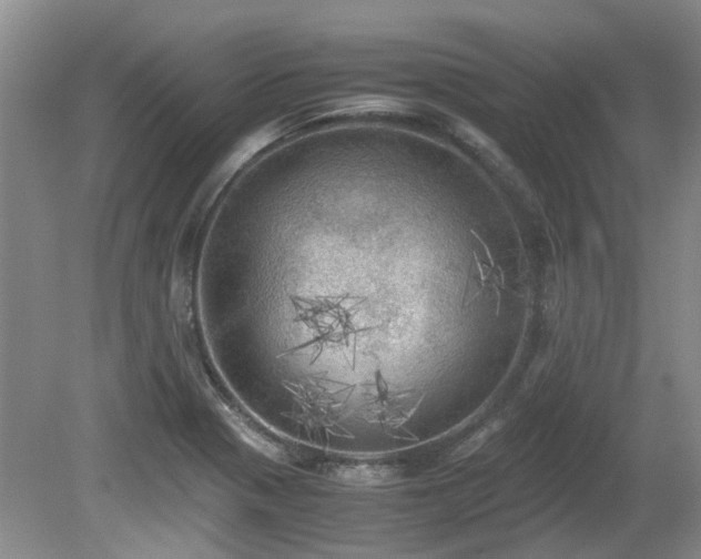 X0000080701321200612151304