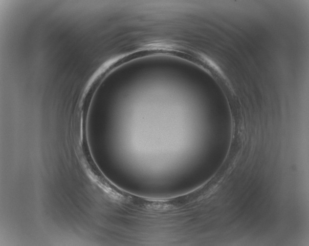 X0000080701323200612151304