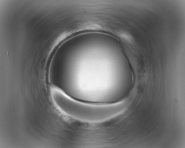 X0000080701326200612151304