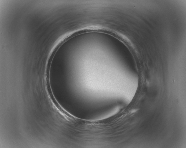 X0000080701327200612151304