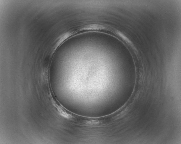 X0000080701329200612151304