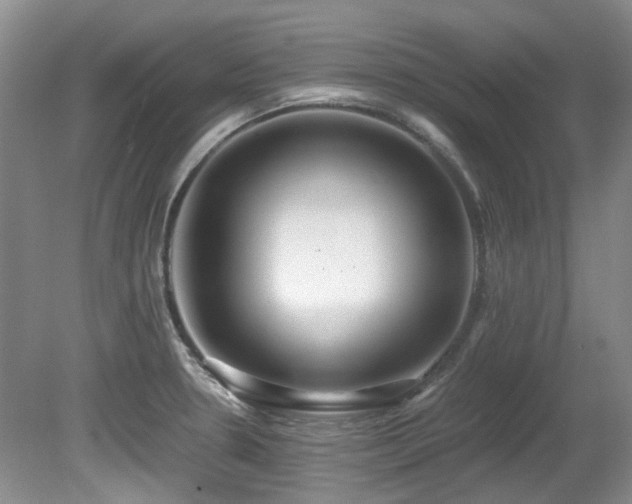 X0000080701330200612151305