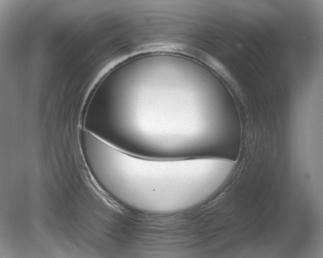 X0000080701332200612151305