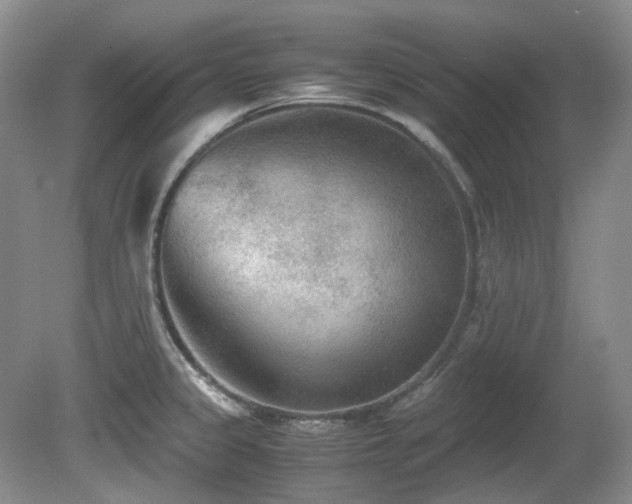 X0000080701333200612151305