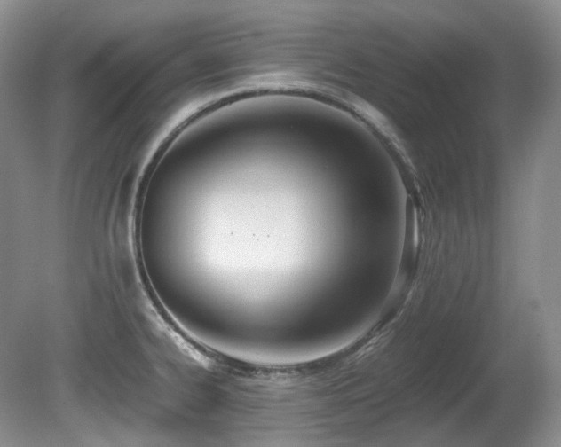 X0000080701334200612151305
