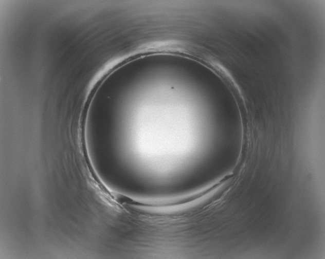 X0000080701336200612151305