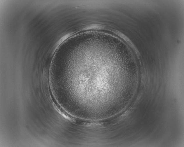 X0000080701337200612151305