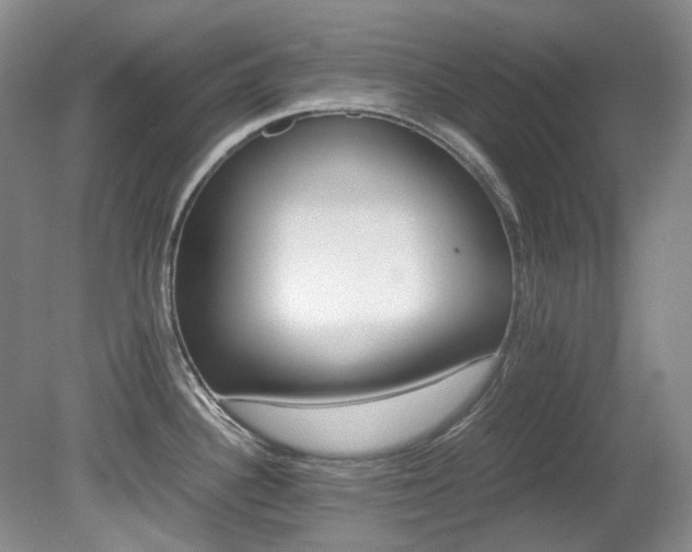 X0000080701340200612151305