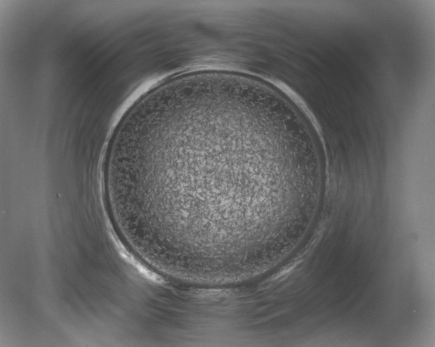 X0000080701341200612151305