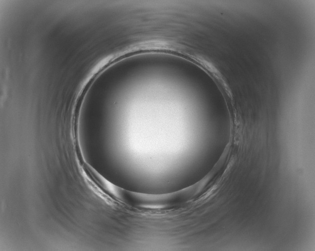 X0000080701342200612151305