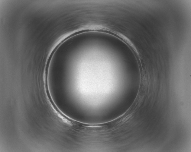 X0000080701343200612151305