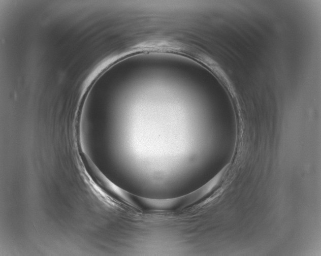 X0000080701344200612151305
