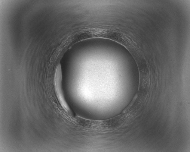 X0000080701345200612151304