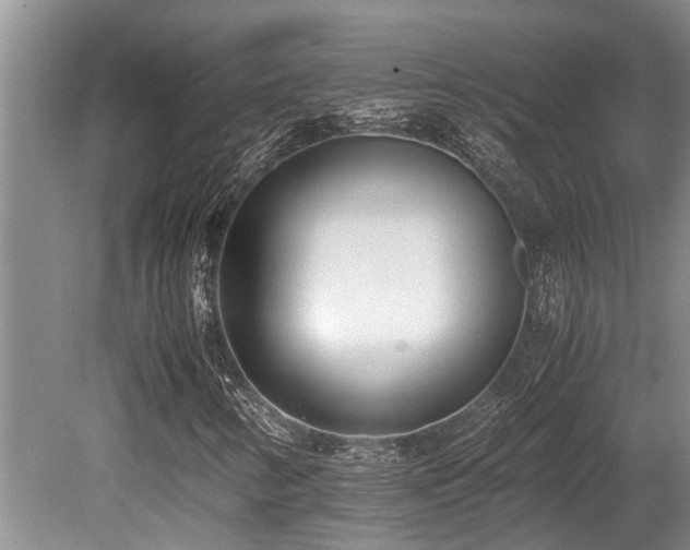 X0000080701346200612151304