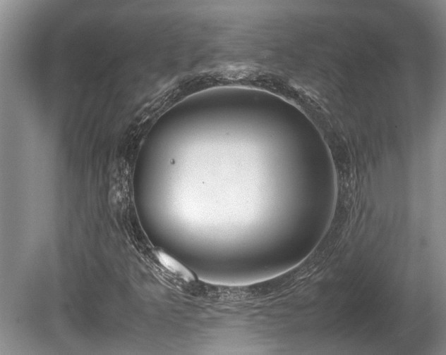 X0000080701349200612151304