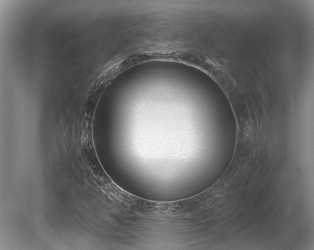 X0000080701350200612151304
