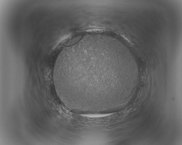 X0000080701351200612151304