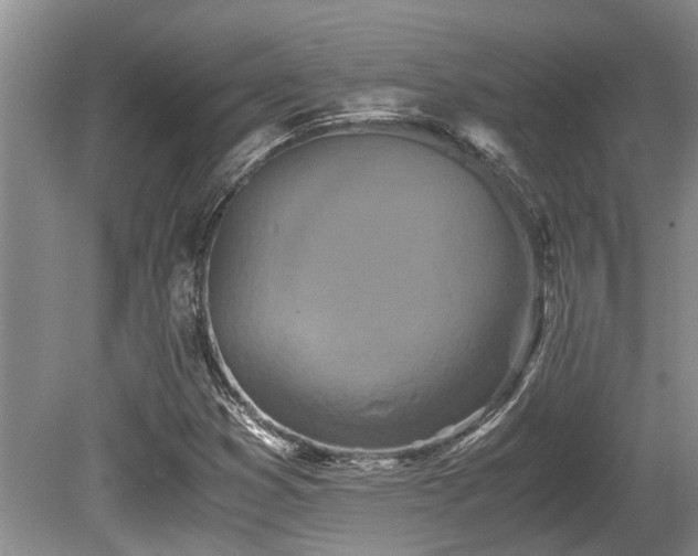 X0000080701353200612151304