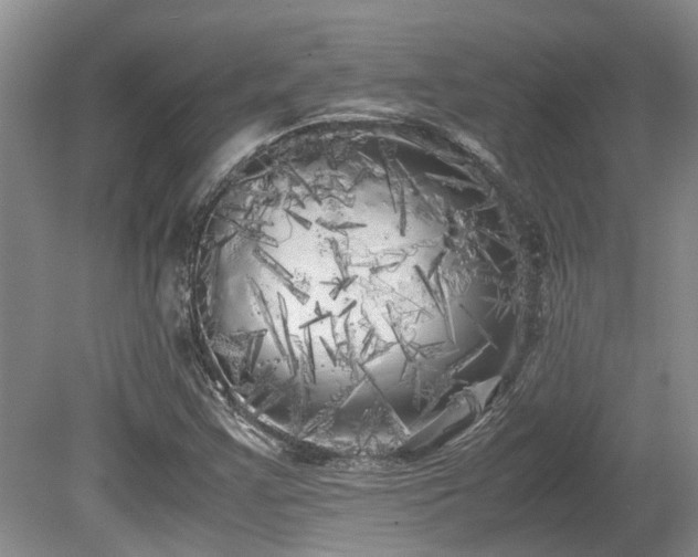 X0000080701355200612151304